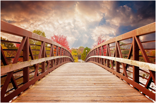 Bridging-the-Digital-Divide:-Combining-Direct-Mail-with-Digital-Tools